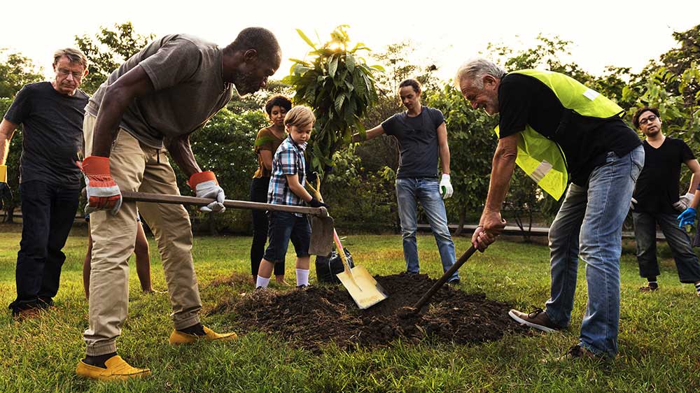 group of people digging in dirt outside